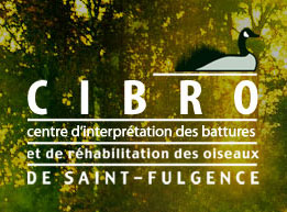 CIBRO - Centre d'interprétation des battures et de réhabilitation des oiseaux de Saint-Fulgence
